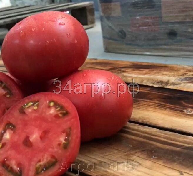 Томат TMG-17608 F1 1000 семян