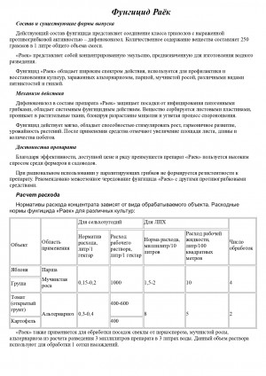 Фунгицид Раёк 1 л