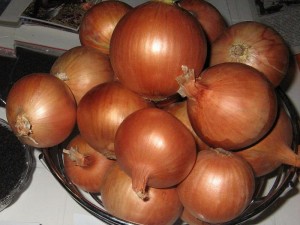 Лук Халцедон 500 гр.