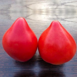 Томат Сердце Ангела F1 (М-14) 1 гр.