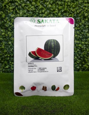 Арбуз Сармат F1 25 семян