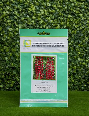 Томат Терек 100 шт.