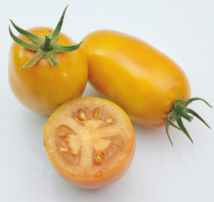 Томат KS 630 F1 1000 семян